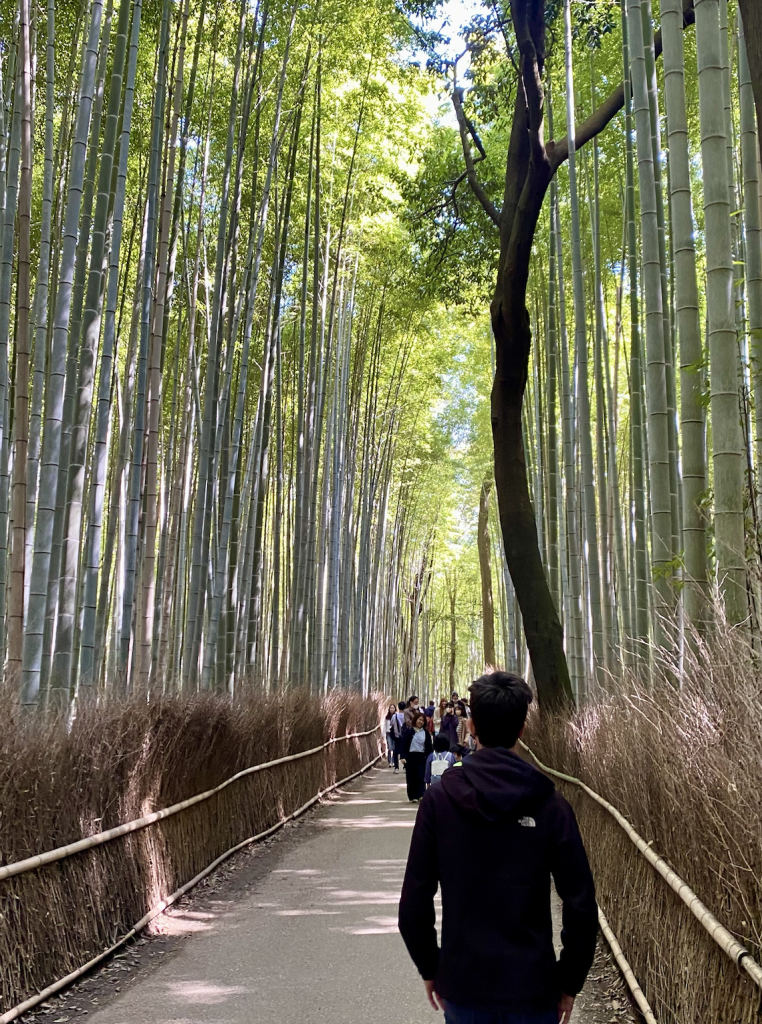 Arashiyama Bamboo Forest